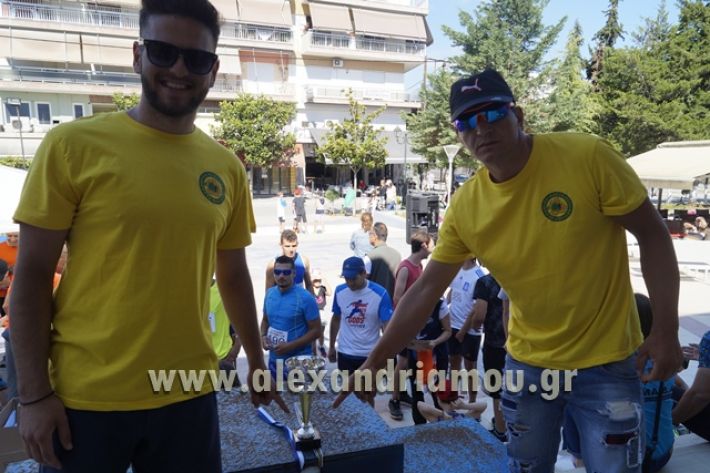 alexandriamou_1_alexandrinos_dromos094